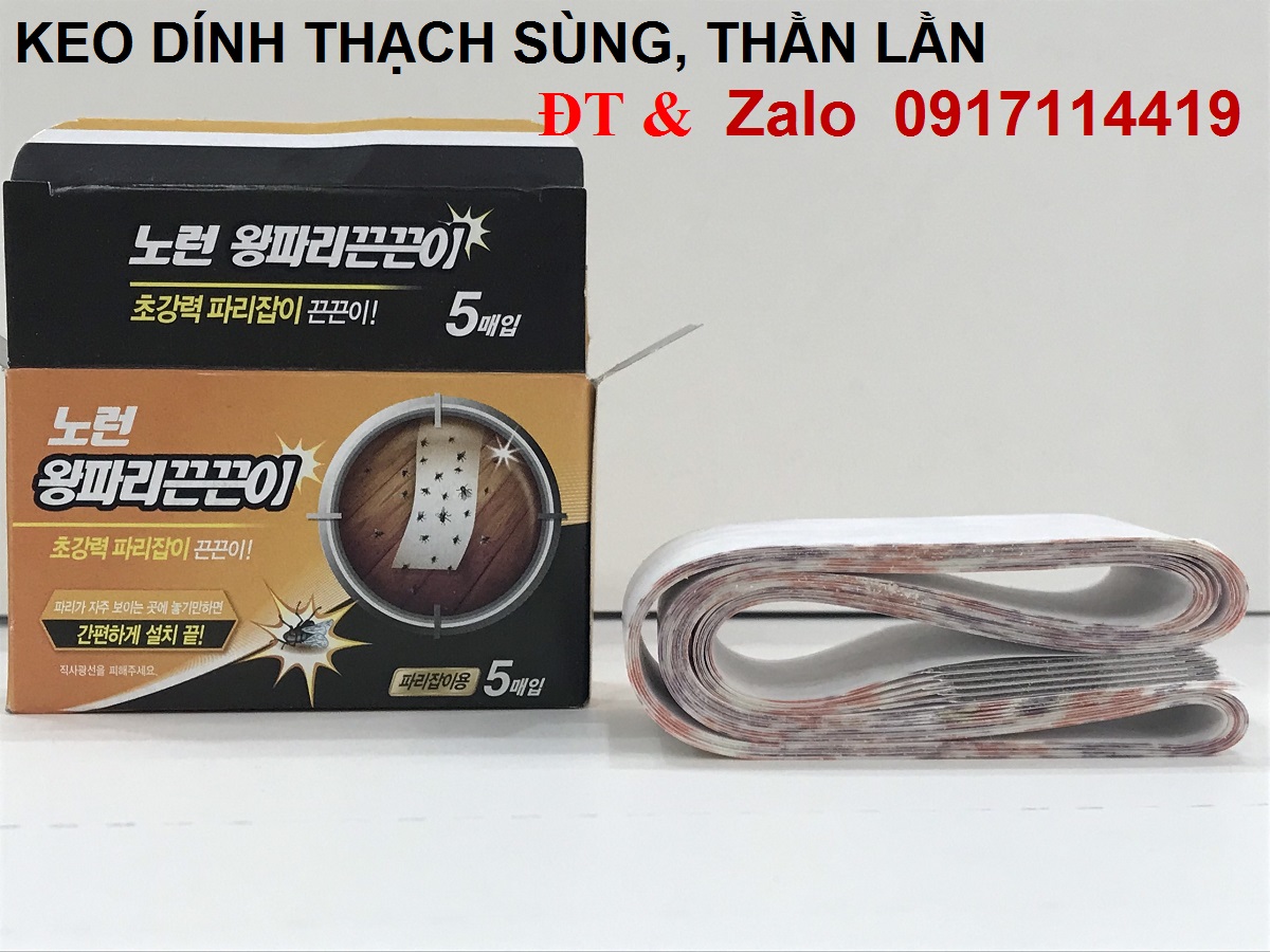 KEO DÍNH THẠCH SÙNG Ở ĐÂU GIÁ RẺ NHẤT